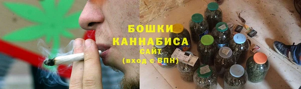 бошки Протвино