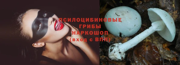 бошки Протвино