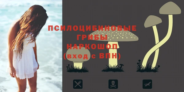 ECSTASY Пролетарск
