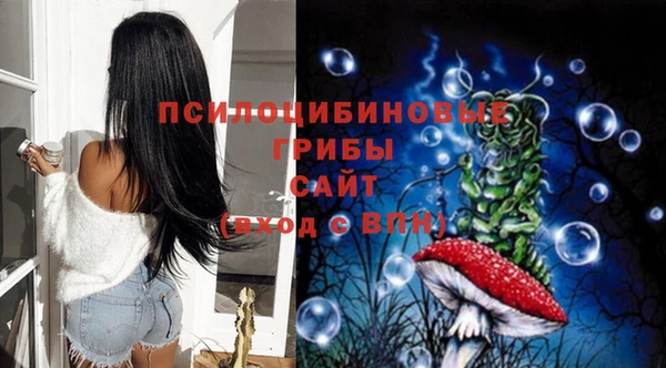 ECSTASY Пролетарск