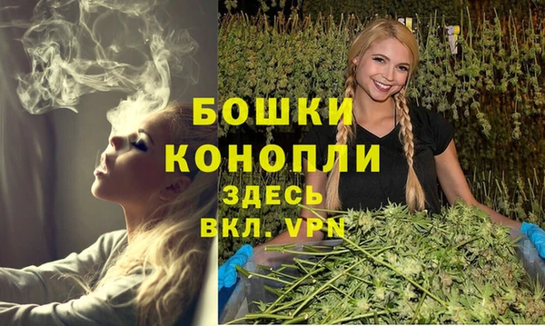 ECSTASY Пролетарск