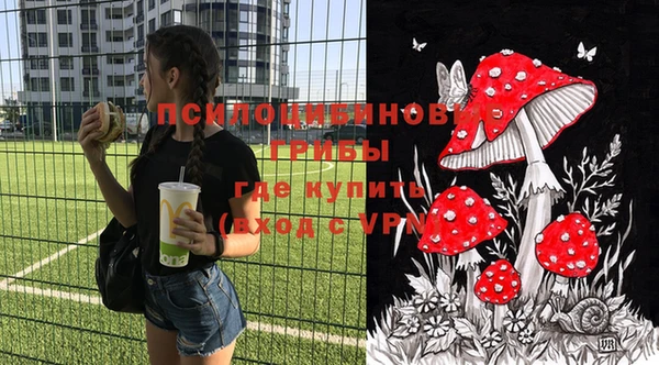 ECSTASY Пролетарск