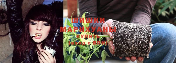 бошки Протвино