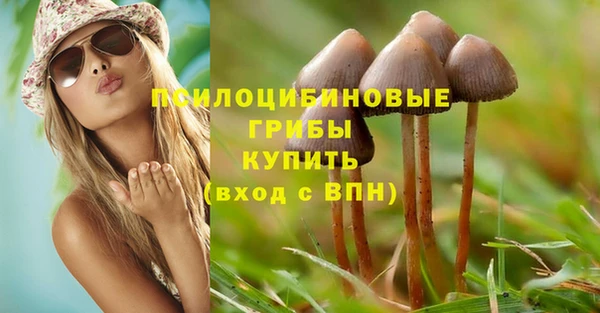 не бодяженный Приозерск