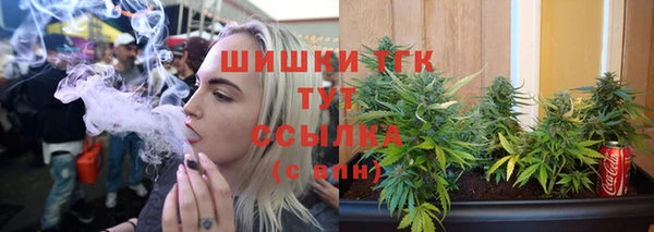бошки Протвино