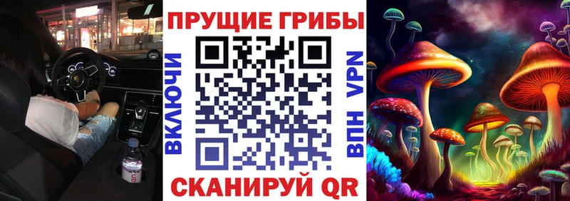Купить где Александровск-Сахалинский Галлюциногенные грибы GOLDEN TEACHER